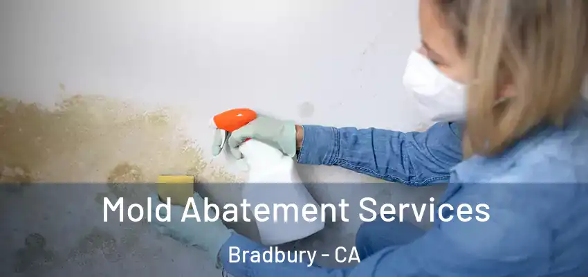  Mold Abatement Services Bradbury - CA