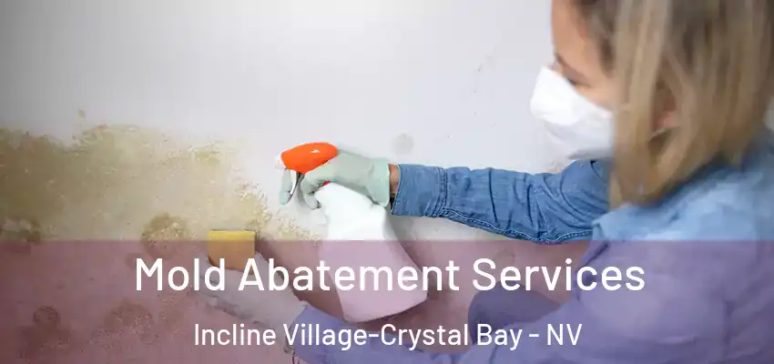 Mold Abatement Services Incline Village-Crystal Bay - NV