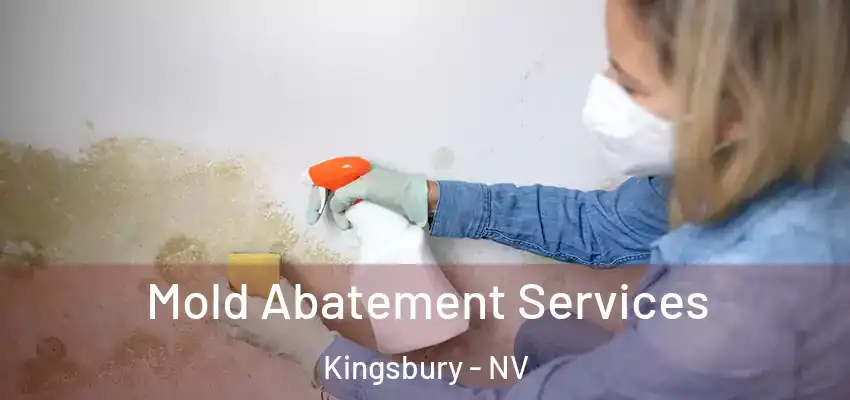  Mold Abatement Services Kingsbury - NV