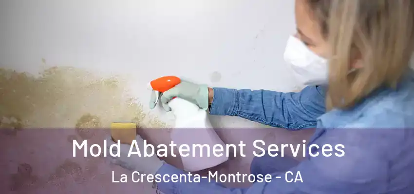 Mold Abatement Services La Crescenta-Montrose - CA