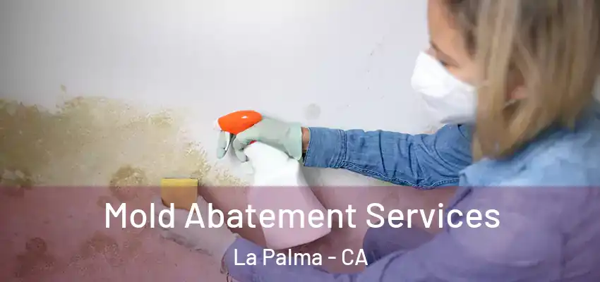  Mold Abatement Services La Palma - CA