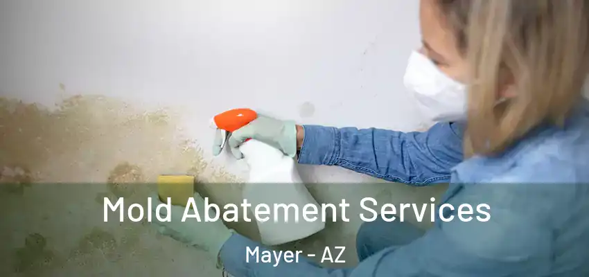 Mold Abatement Services Mayer - AZ