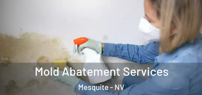  Mold Abatement Services Mesquite - NV