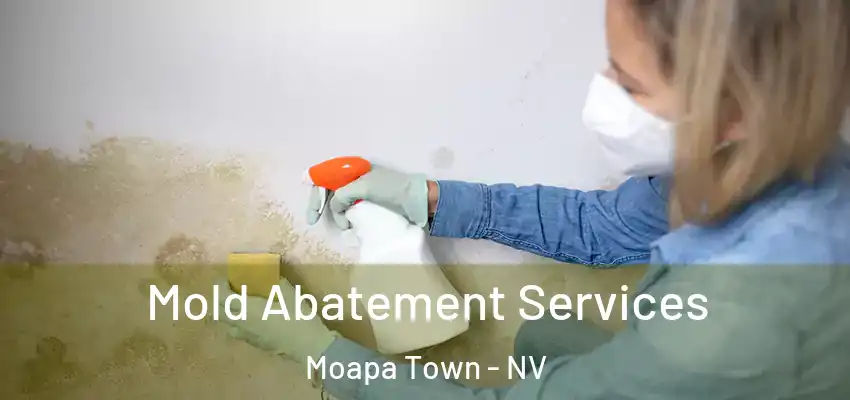 Mold Abatement Services Moapa Town - NV