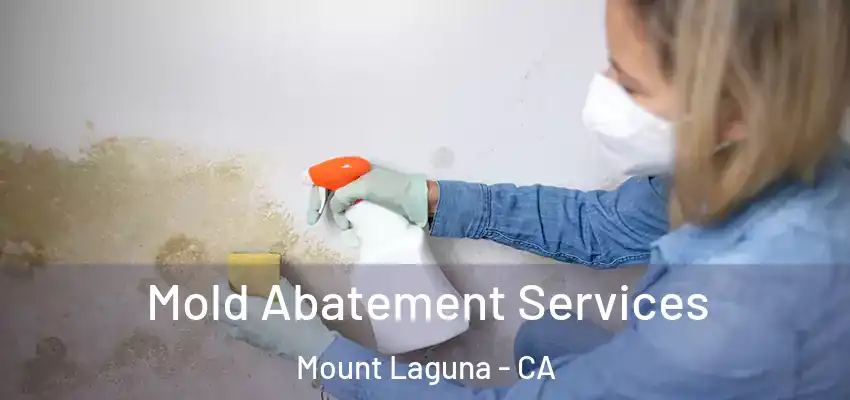 Mold Abatement Services Mount Laguna - CA