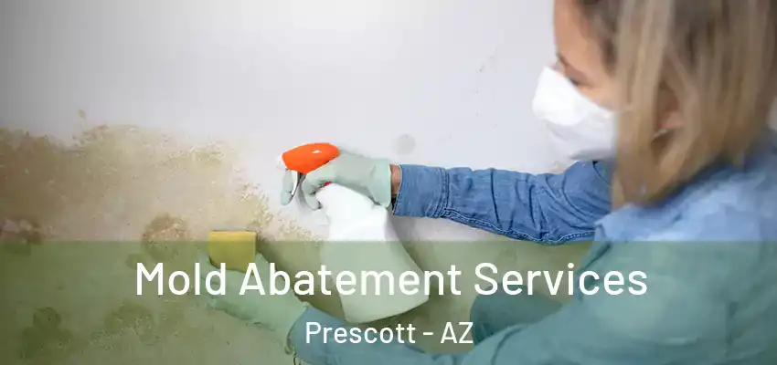 Mold Abatement Services Prescott - AZ