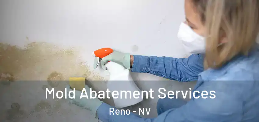  Mold Abatement Services Reno - NV