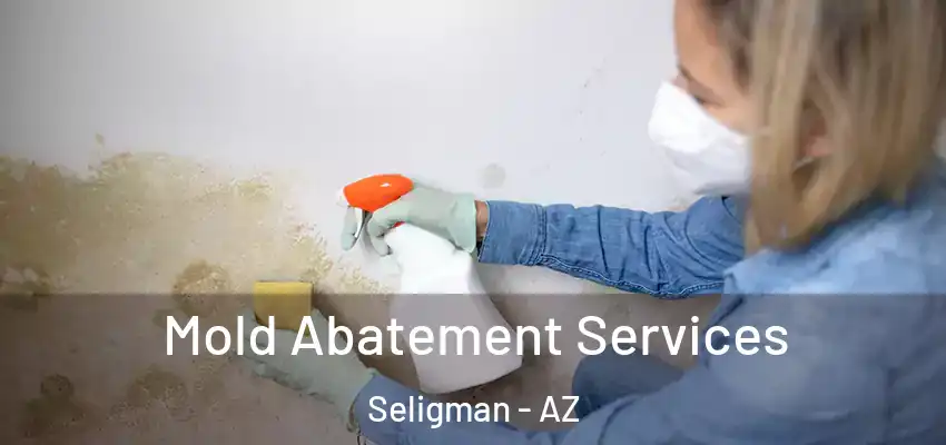 Mold Abatement Services Seligman - AZ