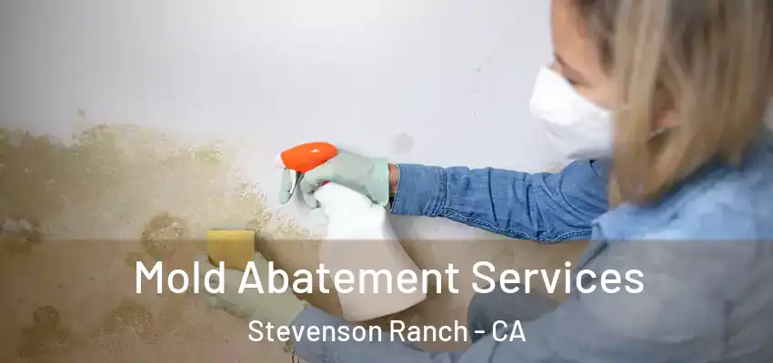  Mold Abatement Services Stevenson Ranch - CA