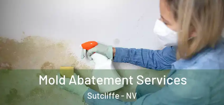 Mold Abatement Services Sutcliffe - NV