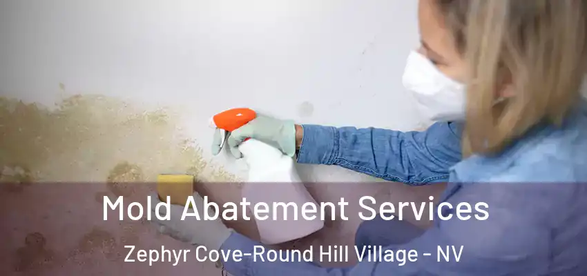 Mold Abatement Services Zephyr Cove-Round Hill Village - NV
