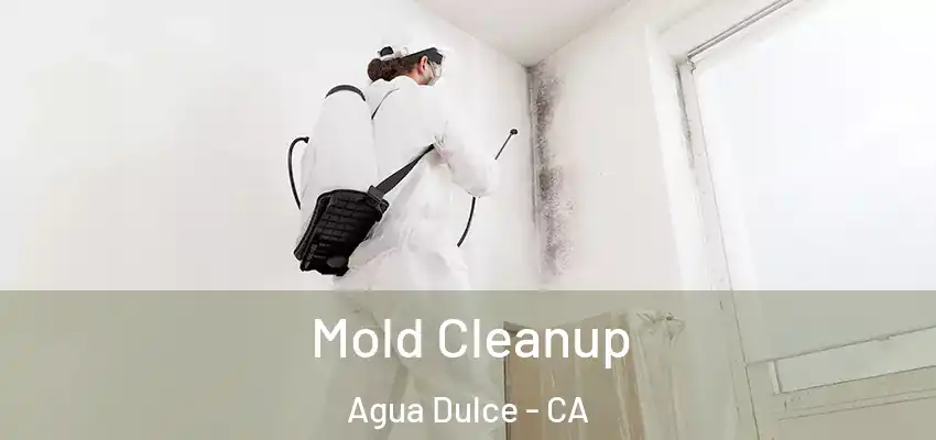  Mold Cleanup Agua Dulce - CA
