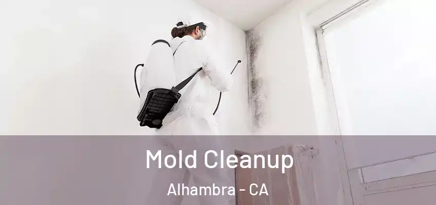  Mold Cleanup Alhambra - CA