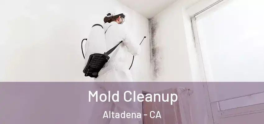 Mold Cleanup Altadena - CA