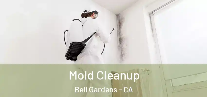 Mold Cleanup Bell Gardens - CA