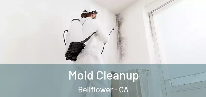  Mold Cleanup Bellflower - CA