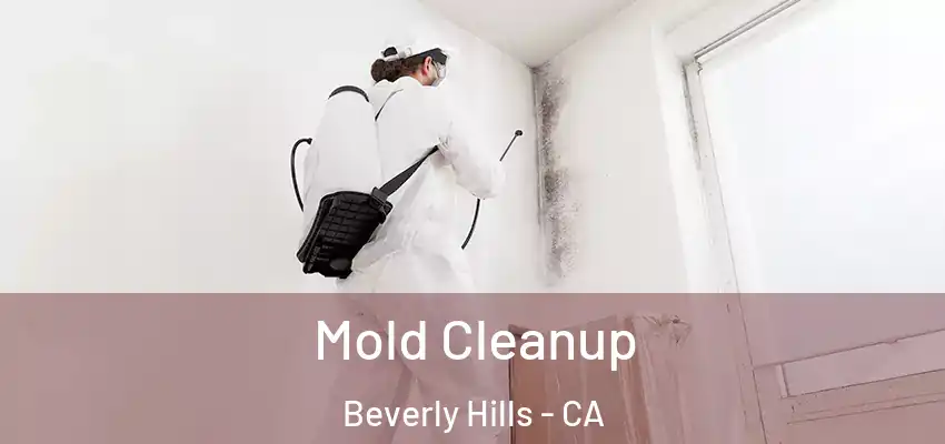  Mold Cleanup Beverly Hills - CA