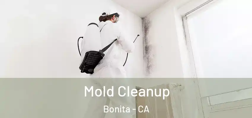  Mold Cleanup Bonita - CA