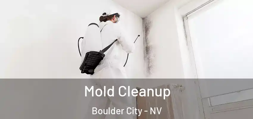 Mold Cleanup Boulder City - NV