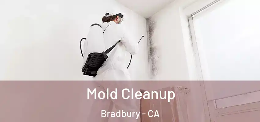  Mold Cleanup Bradbury - CA