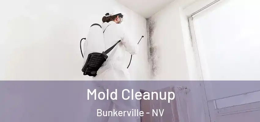 Mold Cleanup Bunkerville - NV
