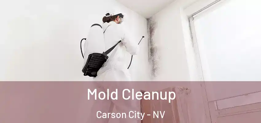  Mold Cleanup Carson City - NV