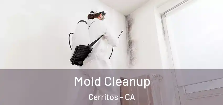  Mold Cleanup Cerritos - CA