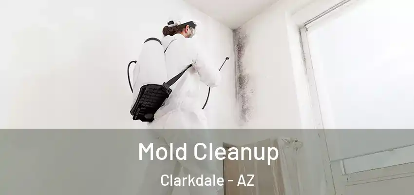  Mold Cleanup Clarkdale - AZ