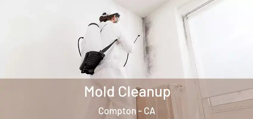  Mold Cleanup Compton - CA
