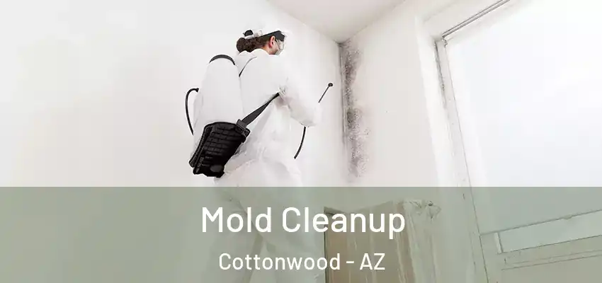  Mold Cleanup Cottonwood - AZ