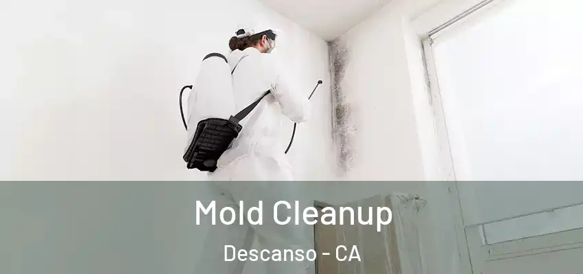  Mold Cleanup Descanso - CA