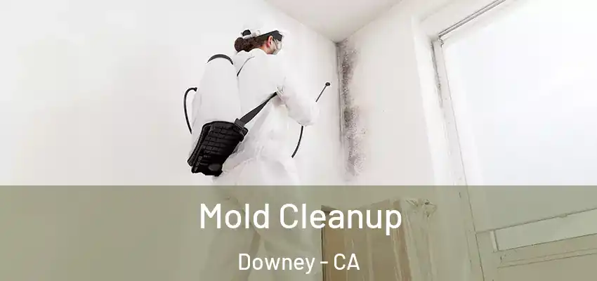 Mold Cleanup Downey - CA