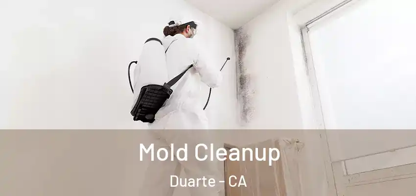 Mold Cleanup Duarte - CA