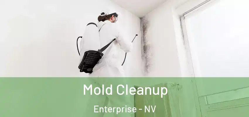 Mold Cleanup Enterprise - NV