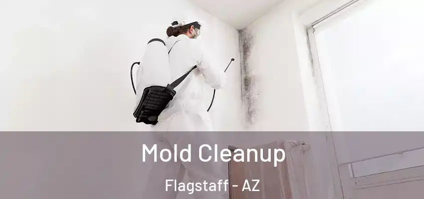  Mold Cleanup Flagstaff - AZ