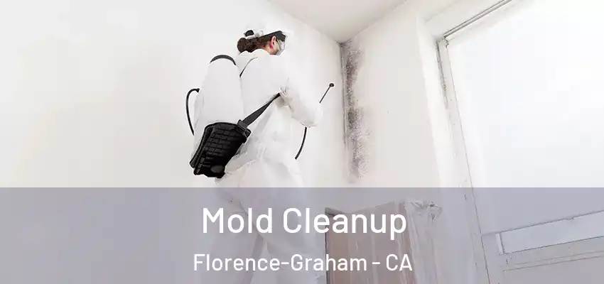  Mold Cleanup Florence-Graham - CA