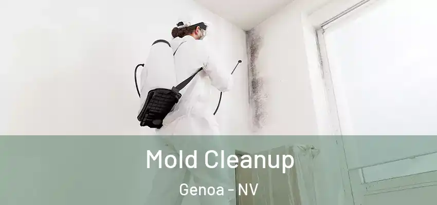 Mold Cleanup Genoa - NV