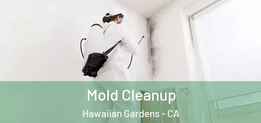 Mold Cleanup Hawaiian Gardens - CA