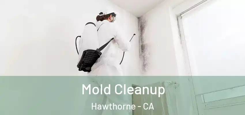  Mold Cleanup Hawthorne - CA