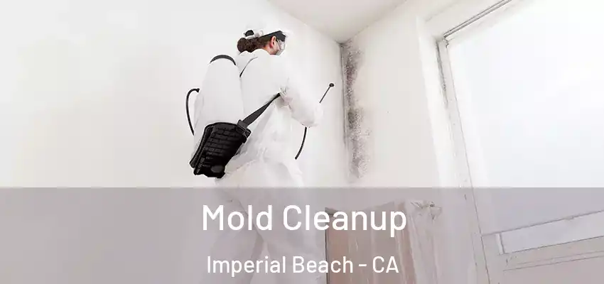  Mold Cleanup Imperial Beach - CA