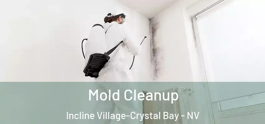 Mold Cleanup Incline Village-Crystal Bay - NV