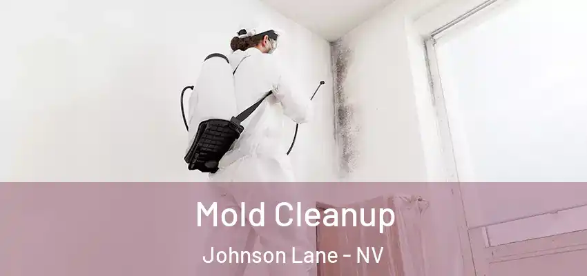  Mold Cleanup Johnson Lane - NV
