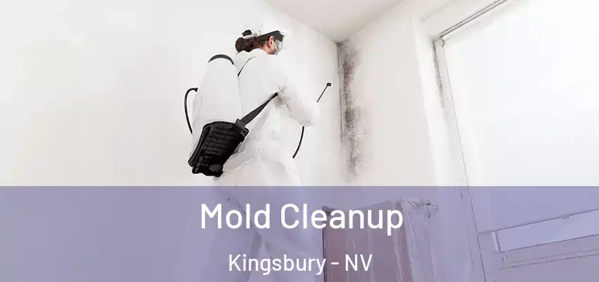  Mold Cleanup Kingsbury - NV