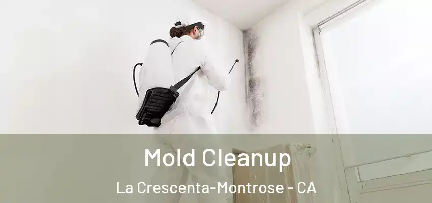  Mold Cleanup La Crescenta-Montrose - CA