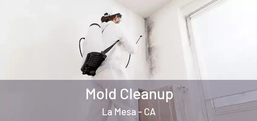 Mold Cleanup La Mesa - CA