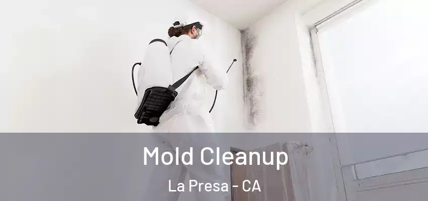  Mold Cleanup La Presa - CA