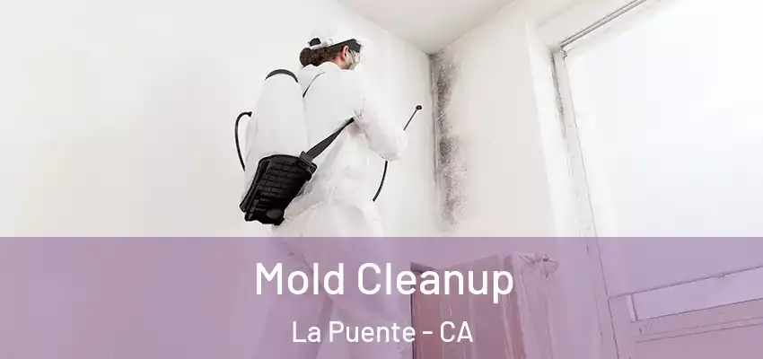 Mold Cleanup La Puente - CA