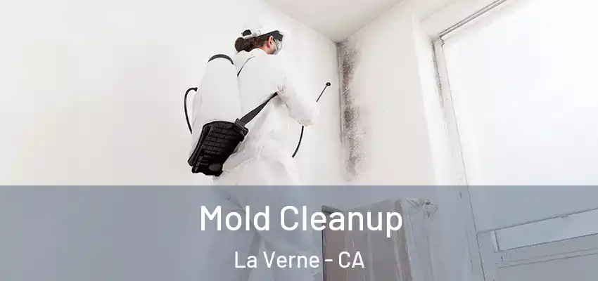  Mold Cleanup La Verne - CA