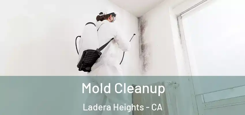  Mold Cleanup Ladera Heights - CA