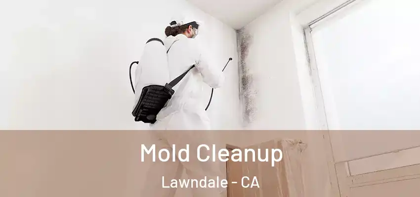  Mold Cleanup Lawndale - CA